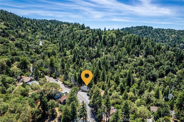 810 Arosa Dr, Crestline, CA 92325 - photo 28