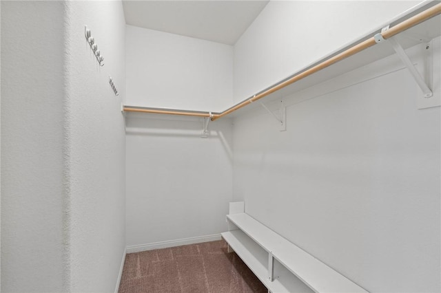 26135 Palm Breeze Ln, Menifee, CA 92586 - walk in closet featuring carpet flooring