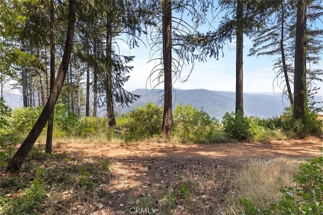 5009 Big Bend Rd, Oroville, CA 95965 - photo 34