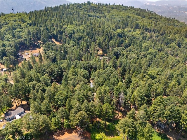5009 Big Bend Rd, Oroville, CA 95965 - photo 39