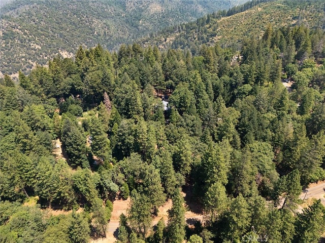 5009 Big Bend Rd, Oroville, CA 95965 - photo 40