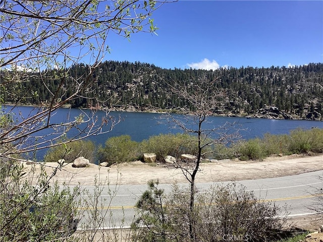 246 Big Bear Blvd, Big Bear Lake, CA 92315 - photo 17