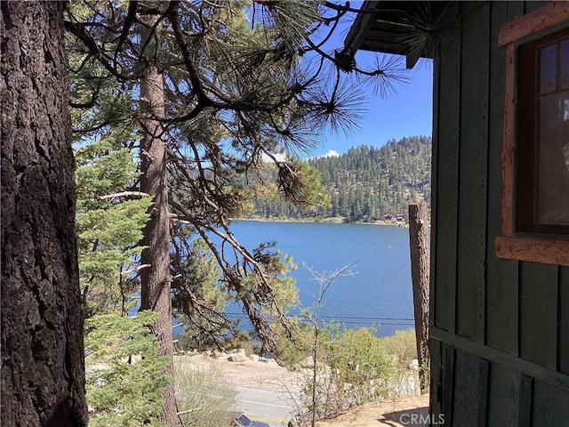 246 Big Bear Blvd, Big Bear Lake, CA 92315 - photo 2