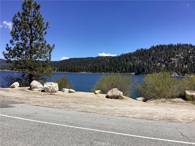 246 Big Bear Blvd, Big Bear Lake, CA 92315 - photo 25