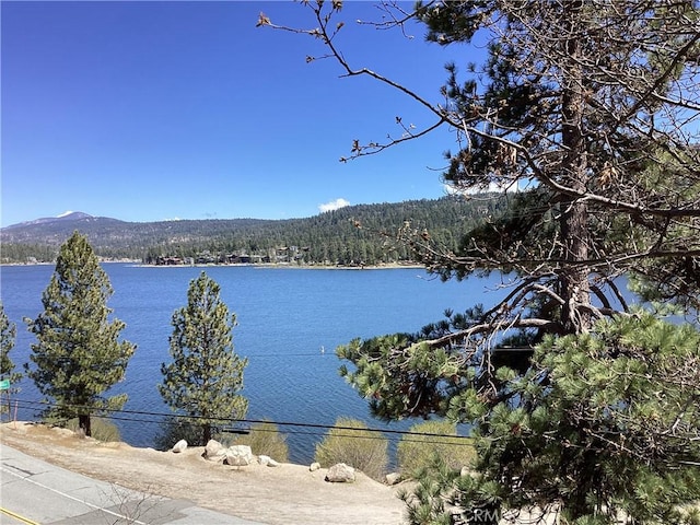 246 Big Bear Blvd, Big Bear Lake, CA 92315 - photo 14