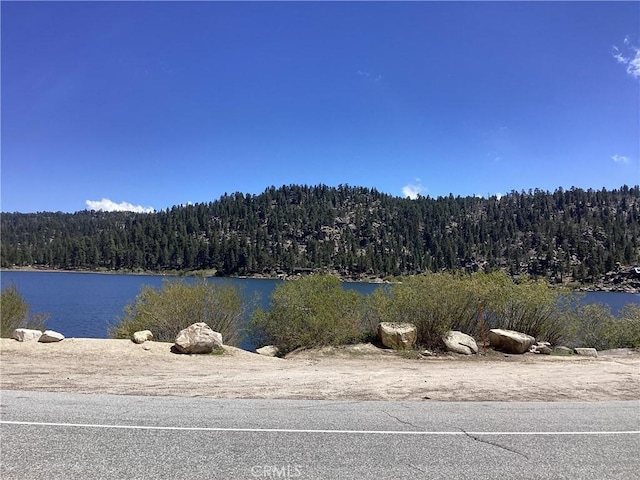 246 Big Bear Blvd, Big Bear Lake, CA 92315 - photo 26