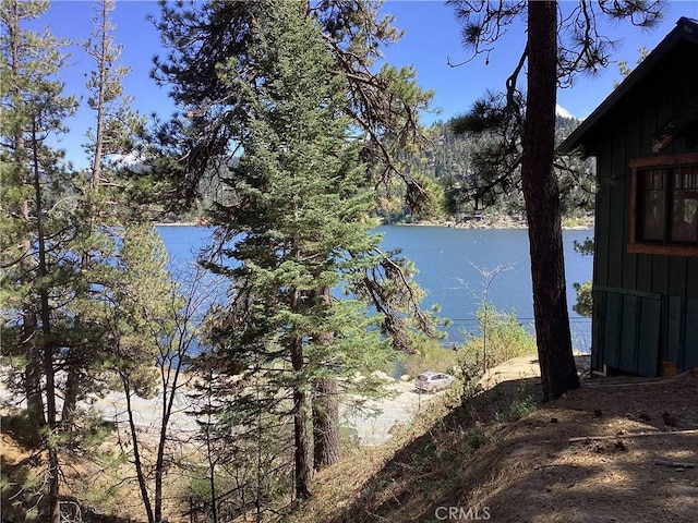 246 Big Bear Blvd, Big Bear Lake, CA 92315 - photo 3