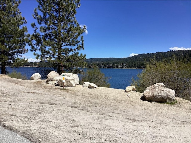 246 Big Bear Blvd, Big Bear Lake, CA 92315 - photo 24