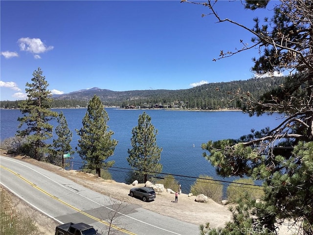 246 Big Bear Blvd, Big Bear Lake, CA 92315 - photo 15