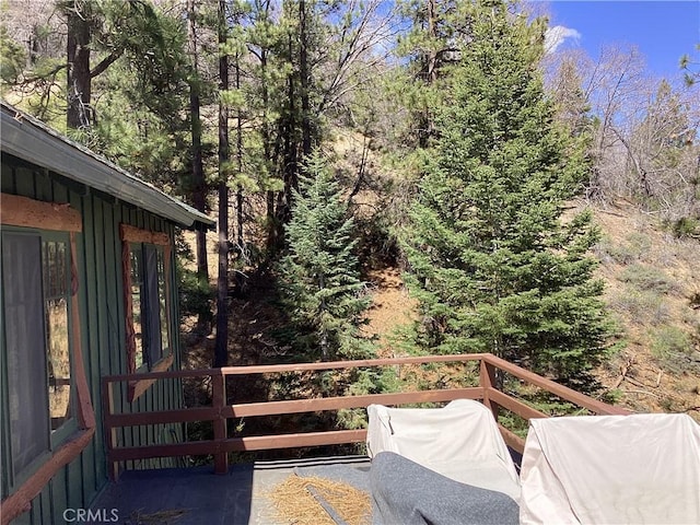 246 Big Bear Blvd, Big Bear Lake, CA 92315 - photo 7