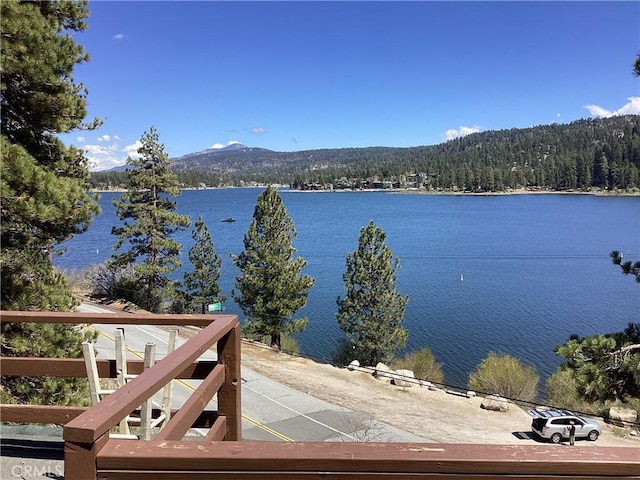 246 Big Bear Blvd, Big Bear Lake, CA 92315 - photo 9