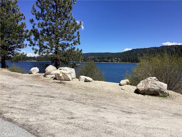 246 Big Bear Blvd, Big Bear Lake, CA 92315 - photo 23