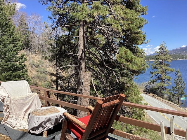 246 Big Bear Blvd, Big Bear Lake, CA 92315 - photo 8