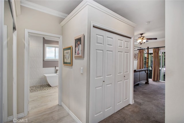 30201 Spray Dr, Canyon Lake, CA 92587 - photo 24