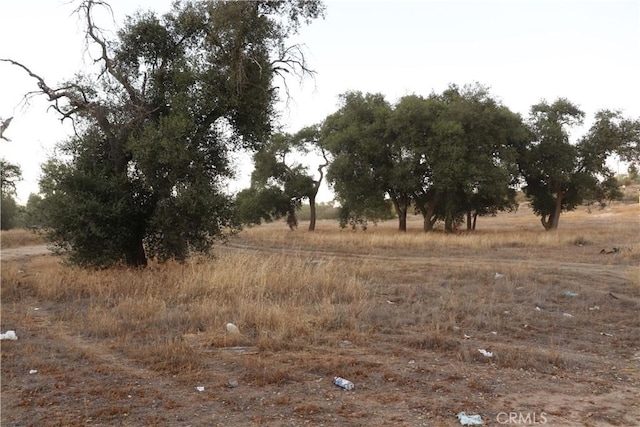 43875 Oak Glen Rd, Hemet, CA 92544 - photo 7
