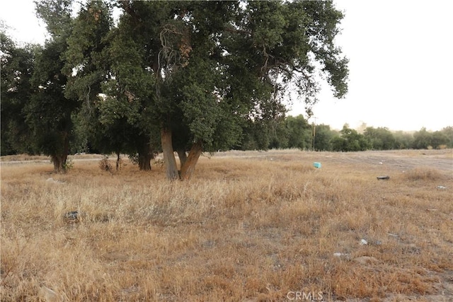 43875 Oak Glen Rd, Hemet, CA 92544 - photo 6