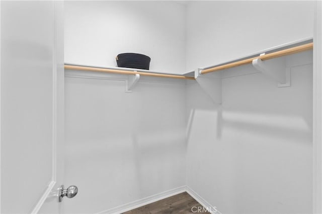 17557 Newland St Unit 101, Huntington Beach, CA 92647 - walk in closet featuring dark wood-type flooring
