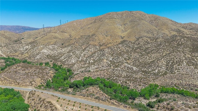 0 Aliso Canyon Rd, Acton, CA 93510 - photo 13