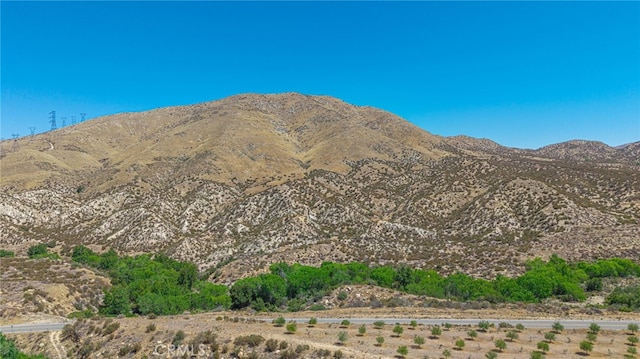 0 Aliso Canyon Rd, Acton, CA 93510 - photo 9