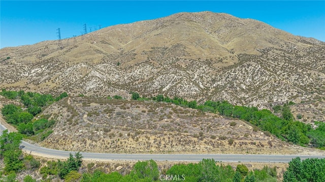 0 Aliso Canyon Rd, Acton, CA 93510 - photo 30