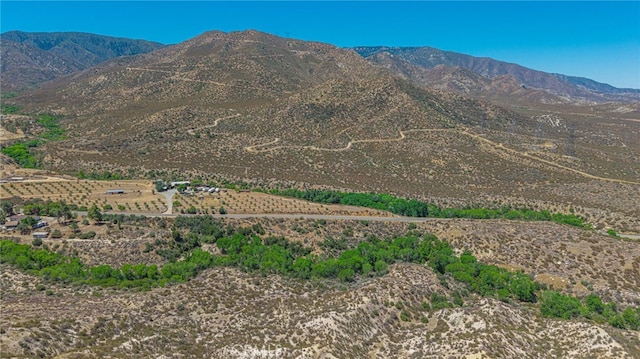 0 Aliso Canyon Rd, Acton, CA 93510 - photo 16