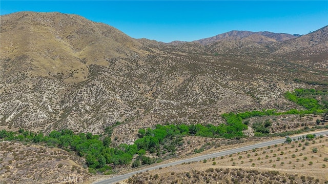 0 Aliso Canyon Rd, Acton, CA 93510 - photo 11