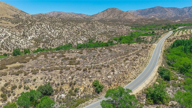 0 Aliso Canyon Rd, Acton, CA 93510 - photo 29