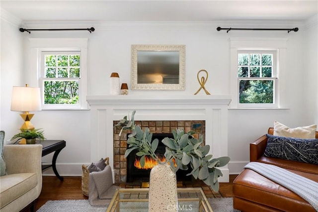 802 S Arroyo Blvd, Pasadena, CA 91105 - living room featuring a warm lit fireplace, ornamental molding, and wood finished floors