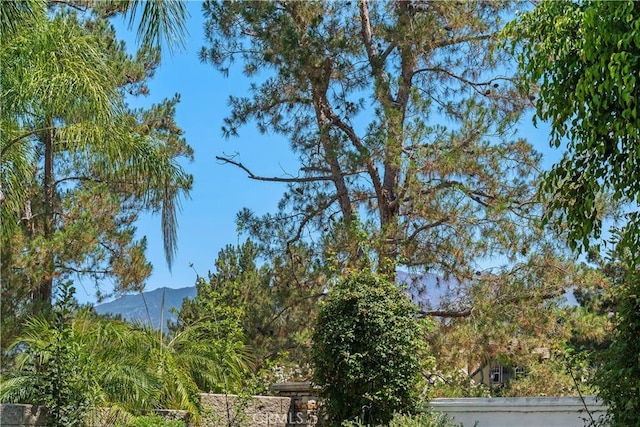 65 Summitcrest, Rancho Santa Margarita, CA 92679 - photo 33