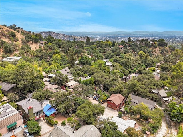 714 Brookside Ln, Sierra Madre, CA 91024 - photo 28