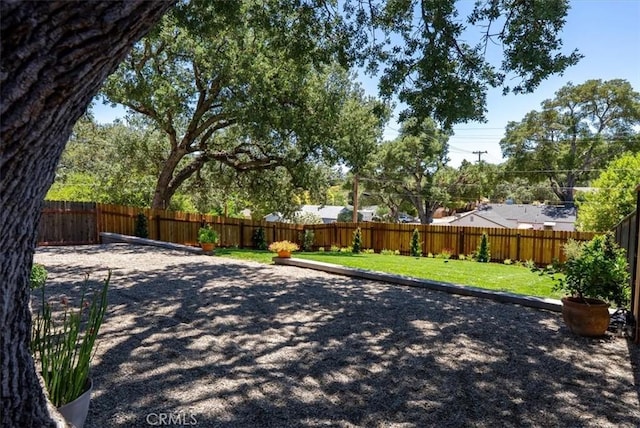 144 17th St, Paso Robles, CA 93446 - photo 6