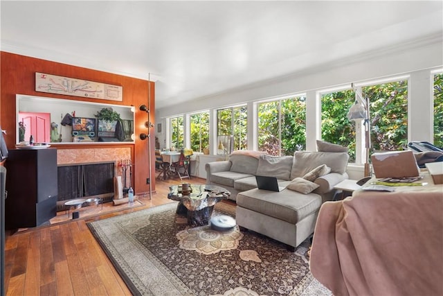 2511 W 5th St, Los Angeles, CA 90057 - living room with wood-type flooring and a premium fireplace