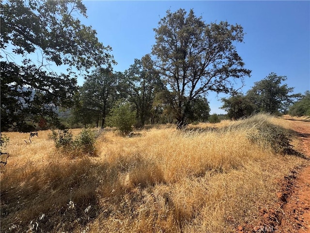 0 Oregon City Trl, Oroville, CA 95965 - photo 4