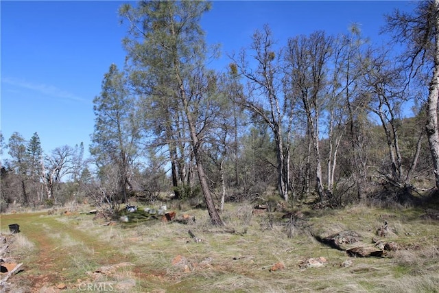 0 Condor Rd, Oroville, CA 95965 - photo 32