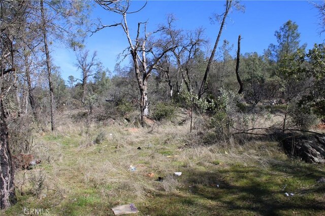0 Condor Rd, Oroville, CA 95965 - photo 23
