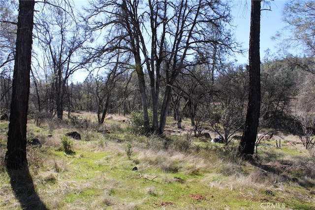 0 Condor Rd, Oroville, CA 95965 - photo 29