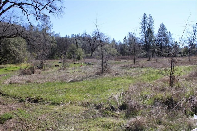 0 Condor Rd, Oroville, CA 95965 - photo 14