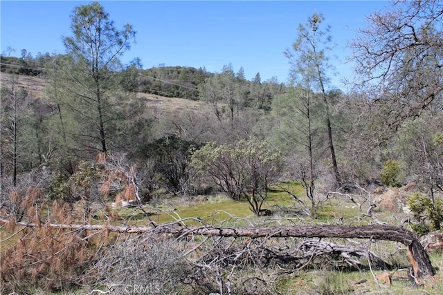 0 Condor Rd, Oroville, CA 95965 - photo 27