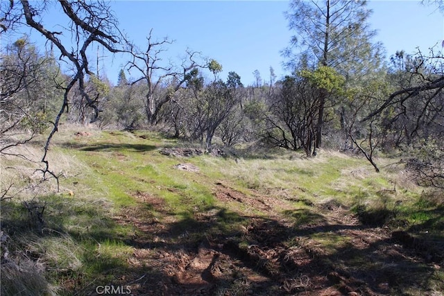 0 Condor Rd, Oroville, CA 95965 - photo 28