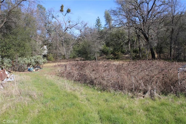 0 Condor Rd, Oroville, CA 95965 - photo 13