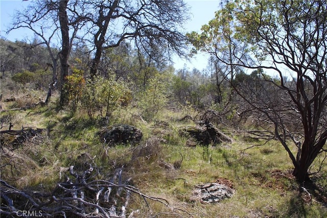 0 Condor Rd, Oroville, CA 95965 - photo 26