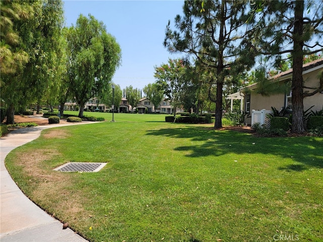 1662 Palermo Dr, Riverside, CA 92507 - photo 13
