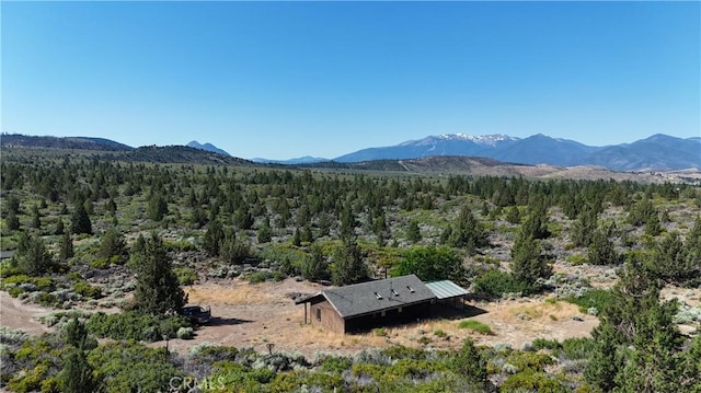 7022 Quarry Rd, Weed, CA 96094 - mountain view with a forest