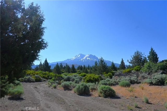 7022 Quarry Rd, Weed, CA 96094 - view of mountain backdrop