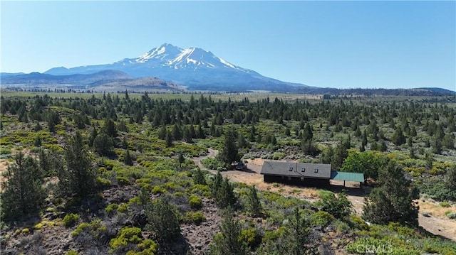 7022 Quarry Rd, Weed, CA 96094 - view of mountain background featuring a heavily wooded area