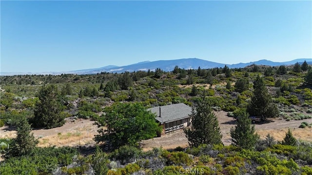 7022 Quarry Rd, Weed, CA 96094 - mountain view