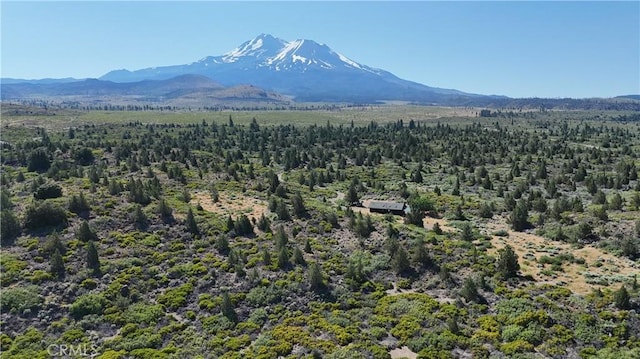 7022 Quarry Rd, Weed, CA 96094 - mountain view with a heavily wooded area