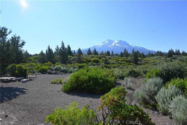 7022 Quarry Rd, Weed, CA 96094 - view of mountain background
