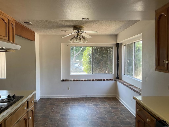 1110 E Alvarado St, Fallbrook, CA 92028 - unfurnished dining area with a textured ceiling, plenty of natural light, and ceiling fan