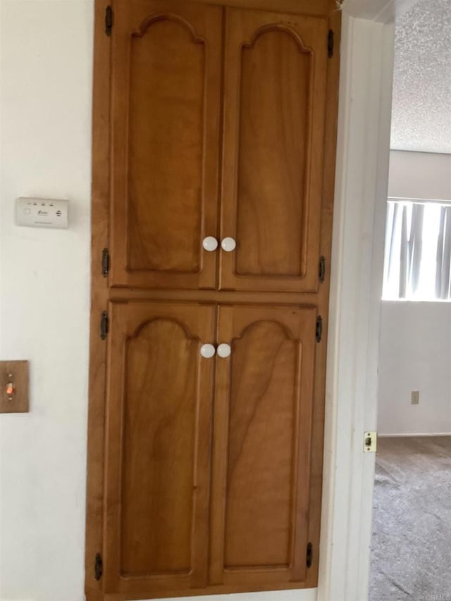 1110 E Alvarado St, Fallbrook, CA 92028 - detailed view of carpet flooring